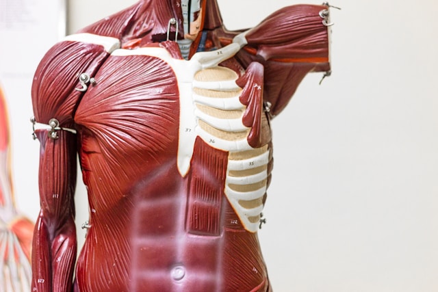 A photo of body}}
