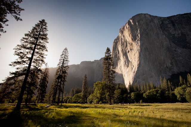 A photo of nature}}